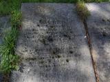 image of grave number 586531